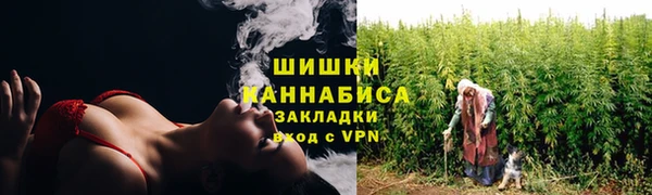 ECSTASY Богородск