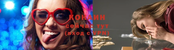 гидропоника Богородицк