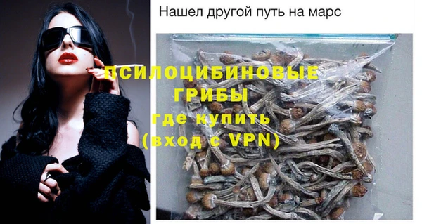 spice Богданович