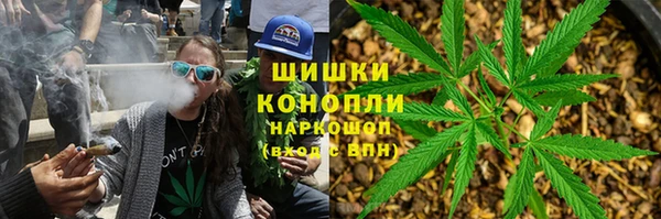 spice Богданович