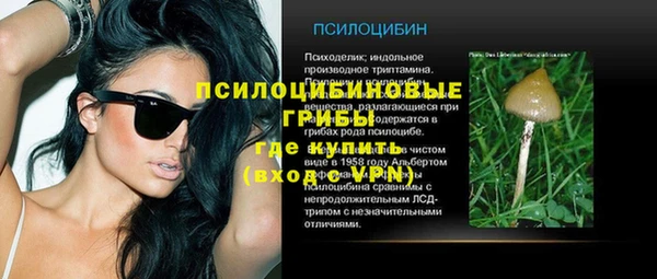 герыч Бородино