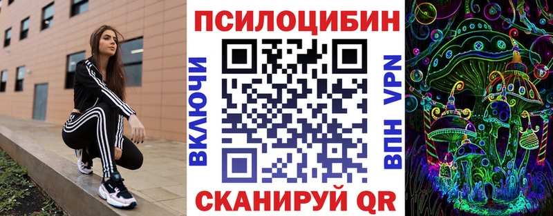 купить наркоту  Дзержинск  Галлюциногенные грибы MAGIC MUSHROOMS 